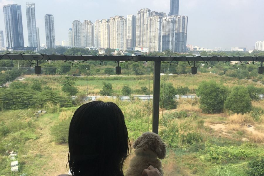 a women sits looking out from a balcony of the skyline of Ho Chi Minh City with a small dog on her lap