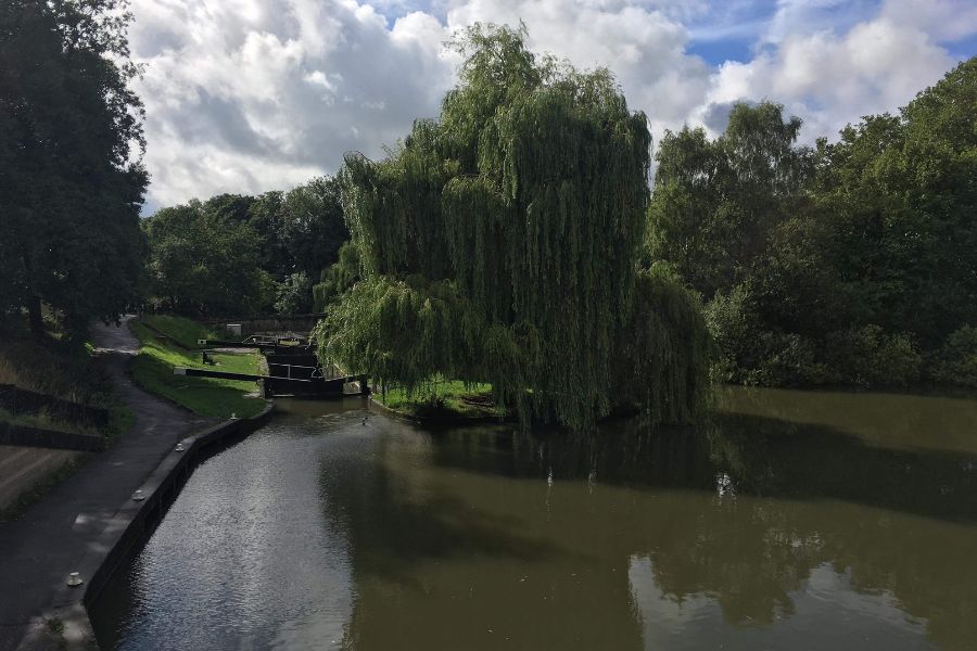 A willow tree looms over the Avon Canal on a sunny day in Bath, Somerset. A lock in the distance awaits a riverboat.