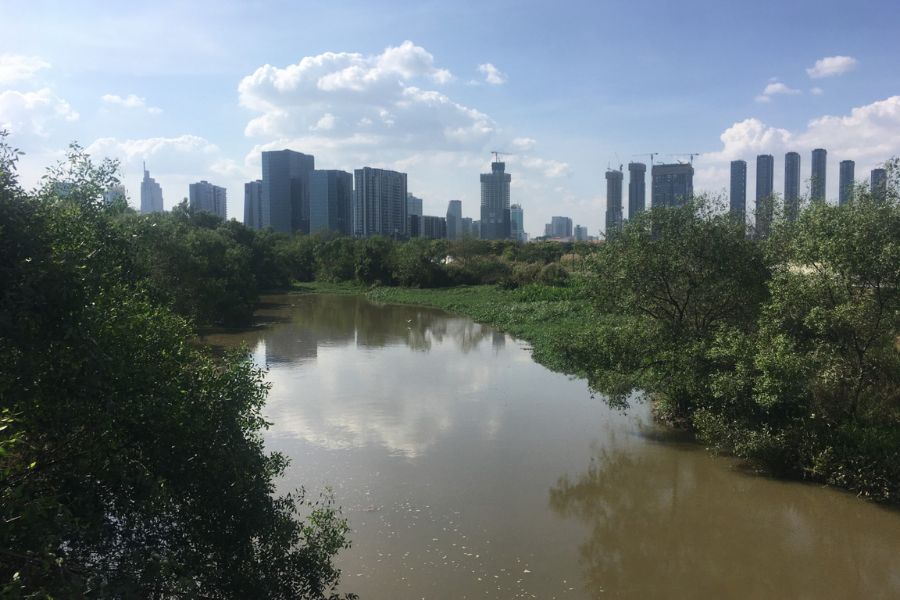 The skyline of Ho Chi Minh City in the distance. In front a beautiful river and green scenic nature reserve.