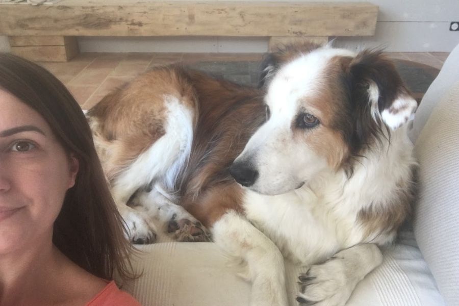 a pretty woman taking a selfie and a very big dog