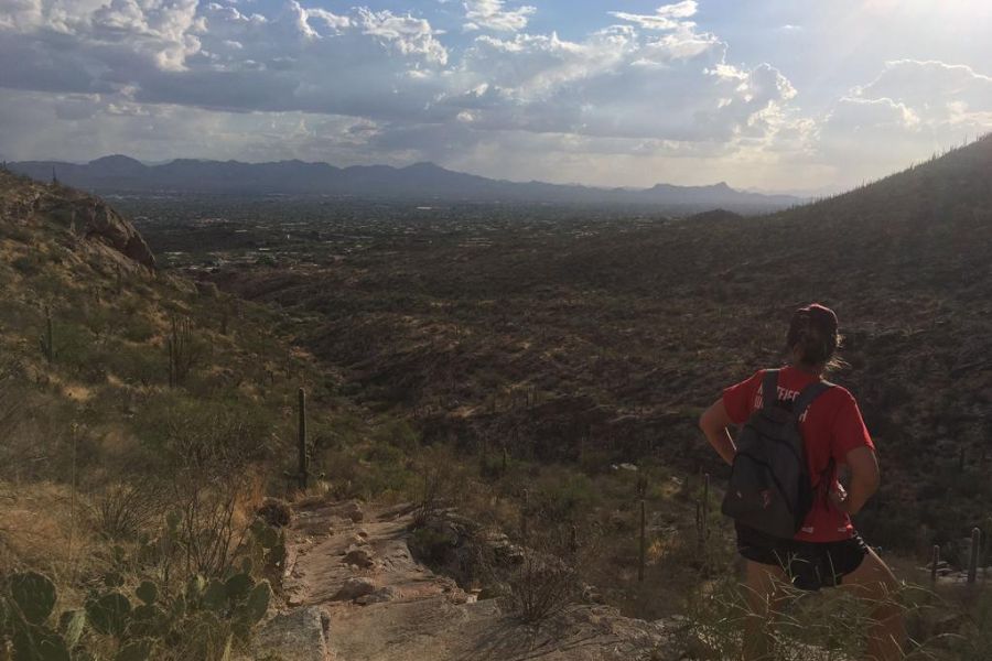 A woman looks over a dry Arizona landscape with mountains and cacti off in the distance.