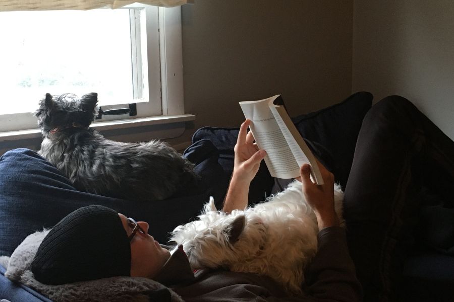 a man wearing a beanie hat and glasses lays on a sofa reading a book with a white dog lying on his chest and a black dog looking out the window