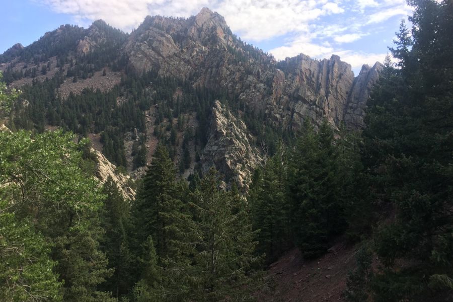 A mountainous scene with huge green trees and rocky mountain trails.