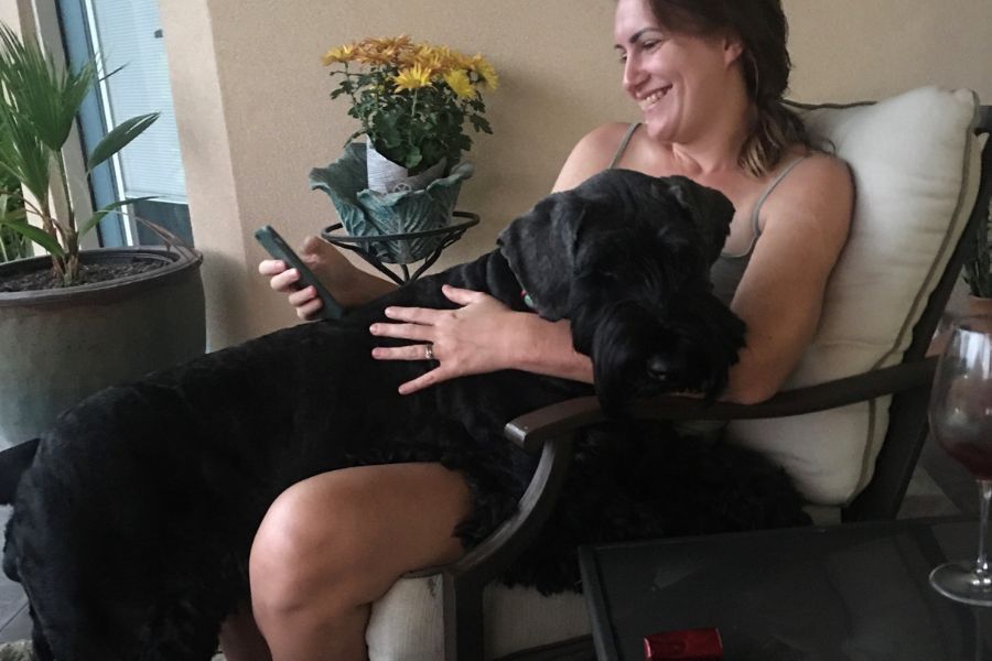 a woman sits checking her phone whilst a large black dog tries to climb on her lap