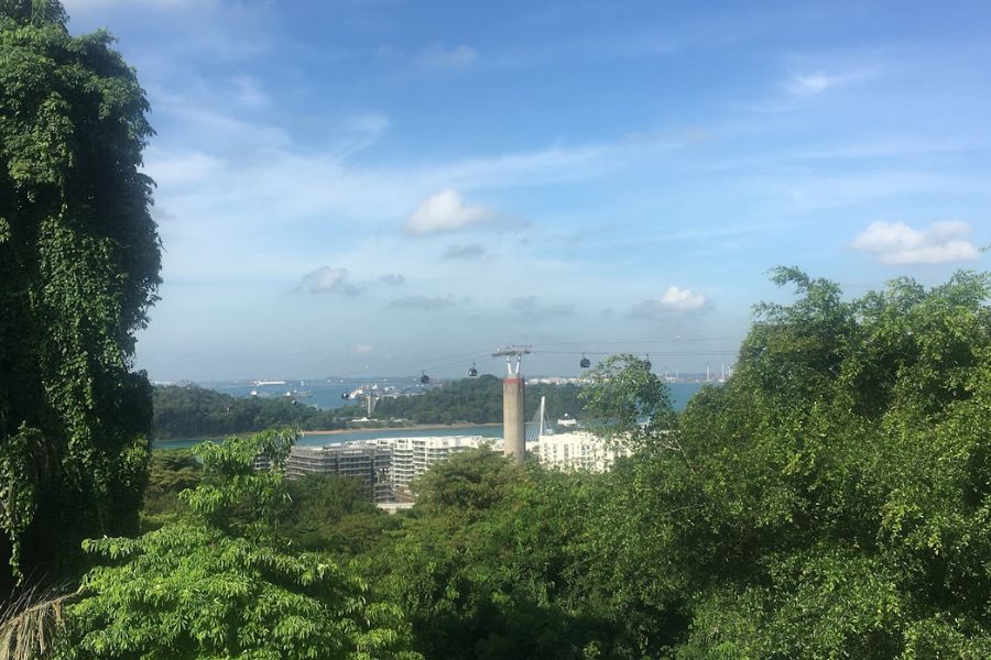 Lush green scenery looking out onto a vista of blue water and a cable car system 