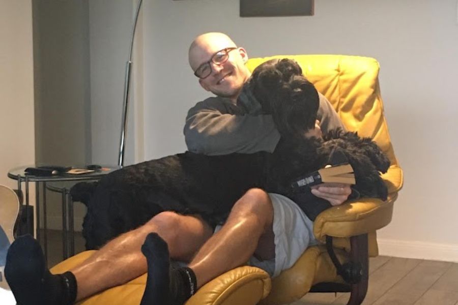 a man sits on a yellow chair holdings a book while a big black shaggy dog tries to sit on his lap.