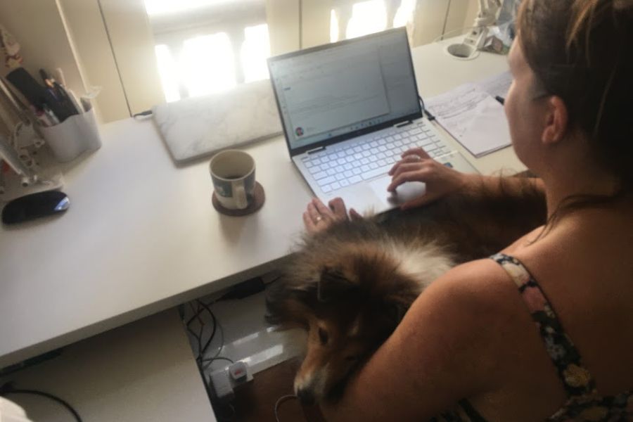 a woman works at a laptop with a dog on her lap