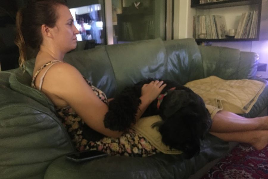 a big black dog sleeps on a woman on a green sofa