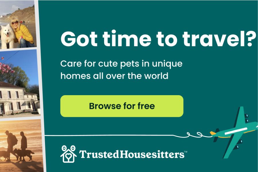 house sitting advert