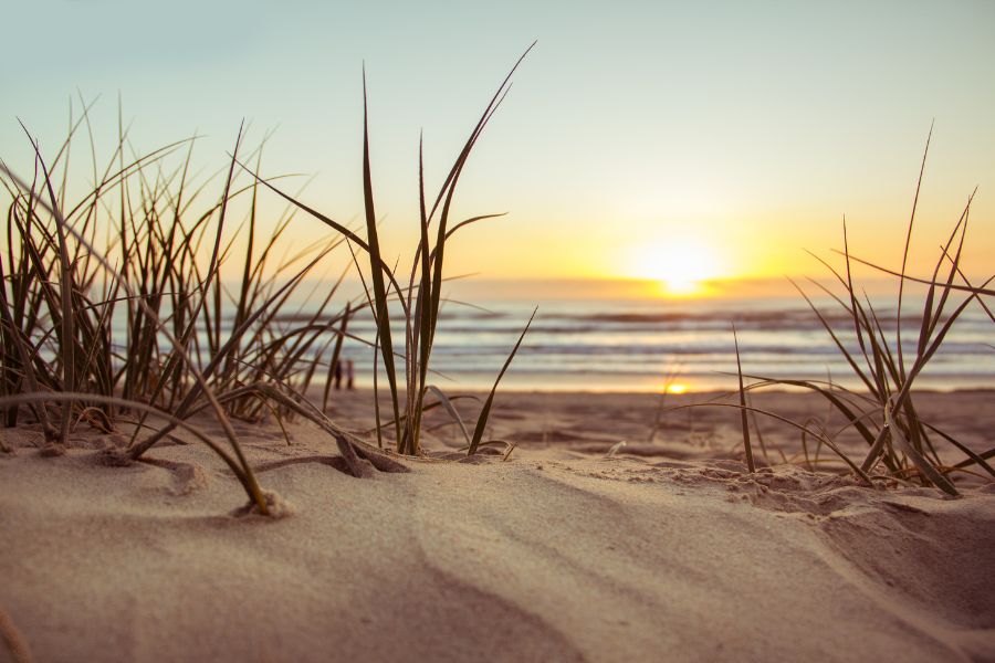 beach sunset