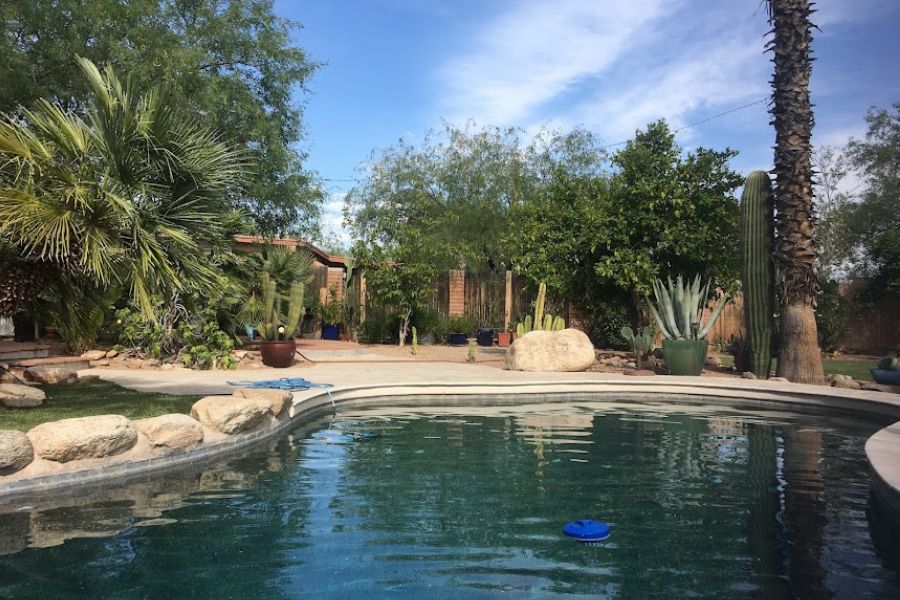 a nice pool surrounded by cacti