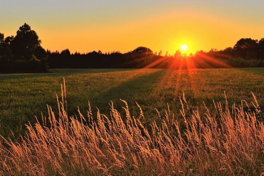 a large green field at sunset