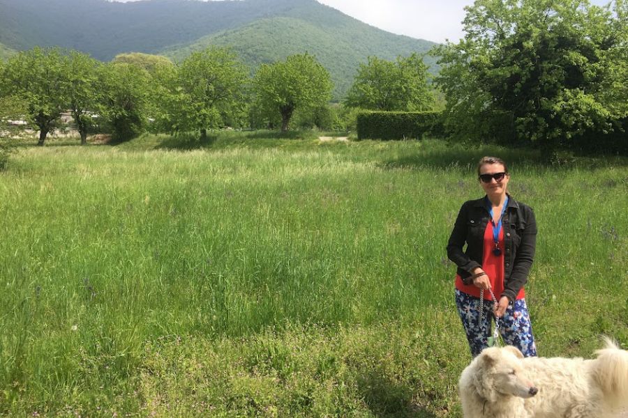 woman walks dog in field