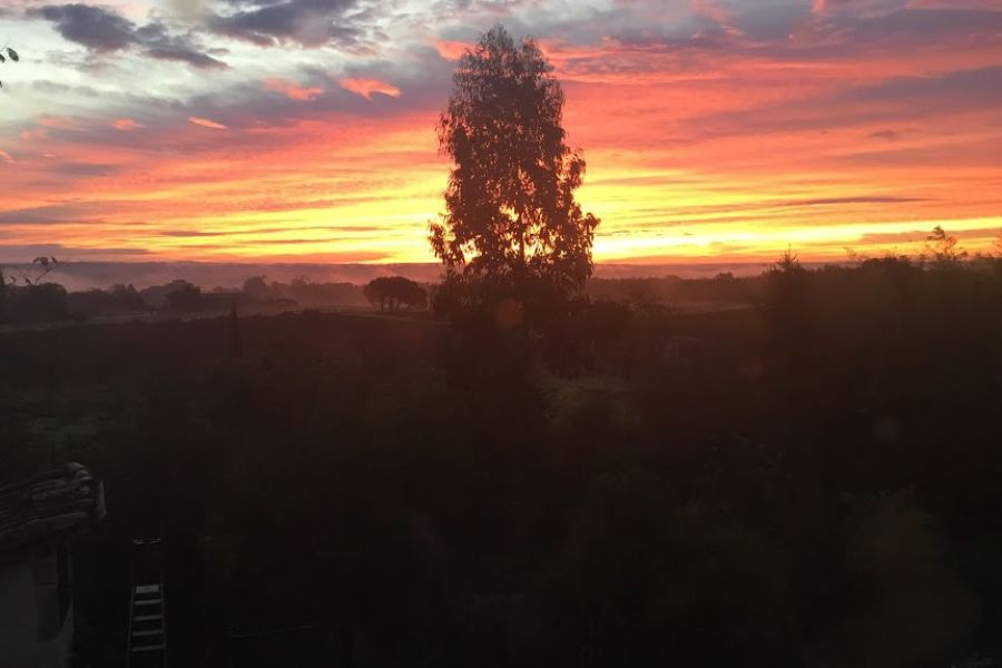 Sunset over vast fields