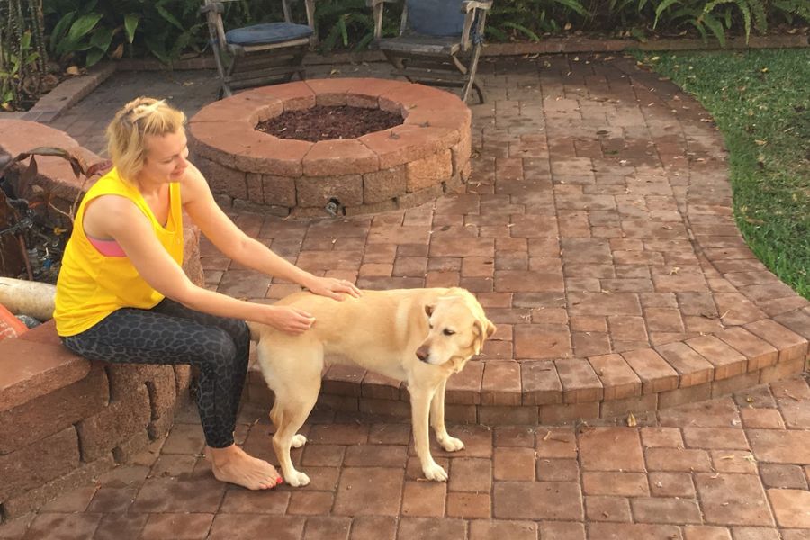 woman petting dog