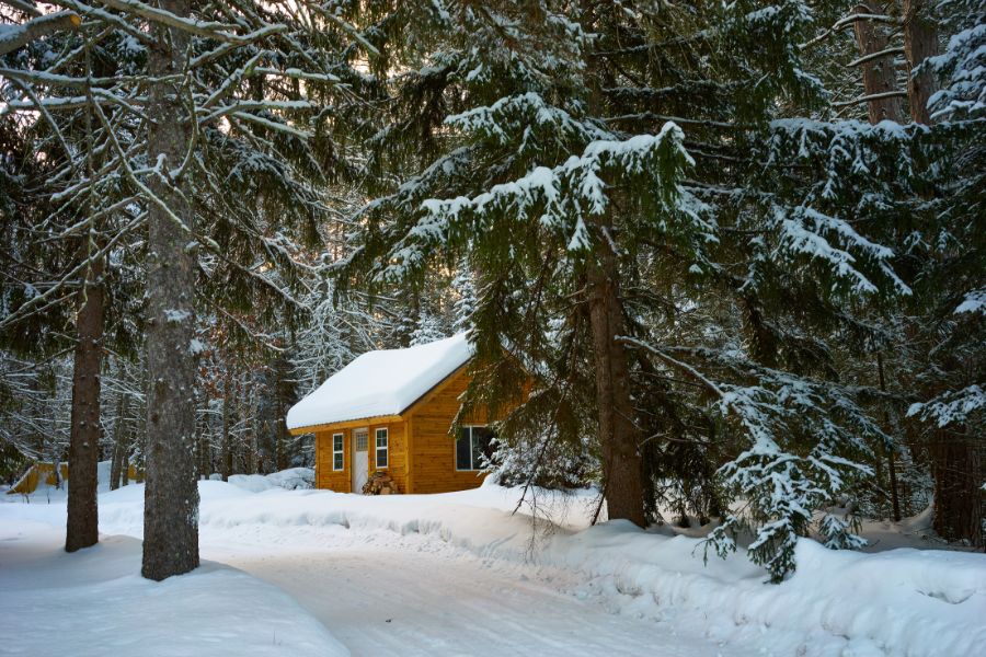 snow covered house in the woods