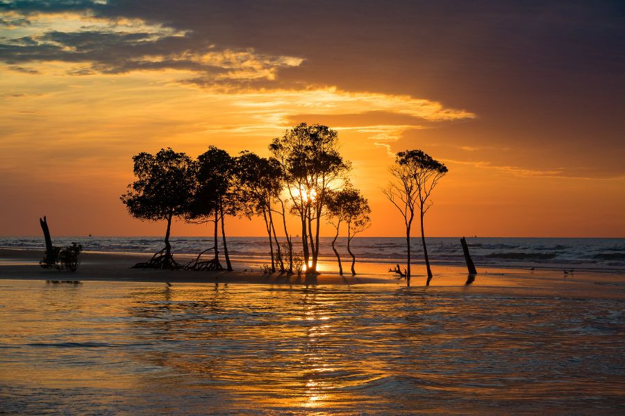 beach sunset