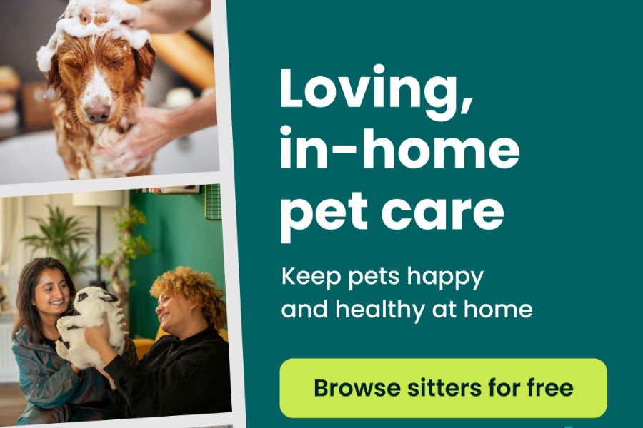 Trusted Housesitters Advert