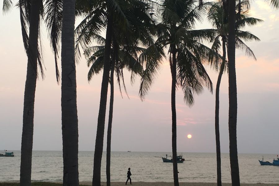 palm trees and boats on the ocean at sunset