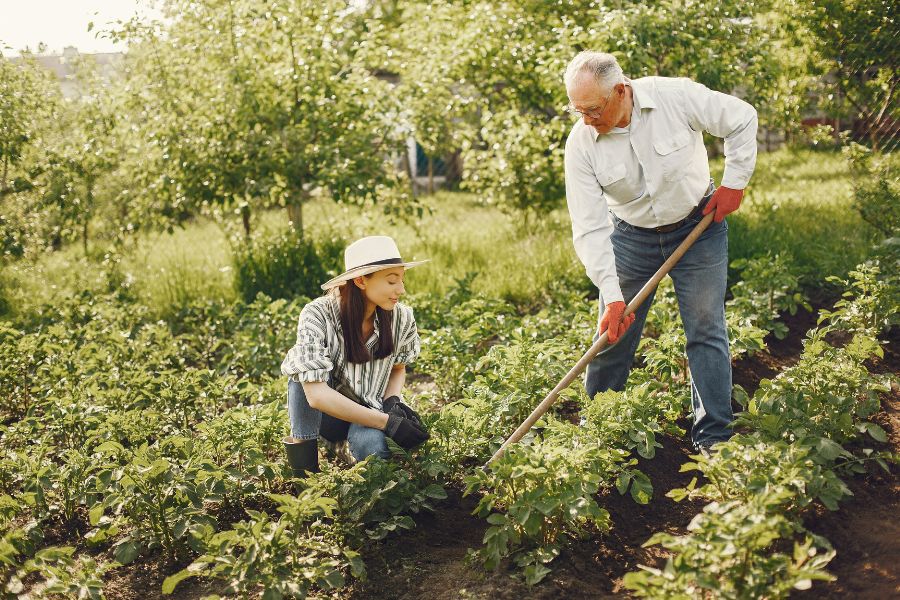 couple gardening 