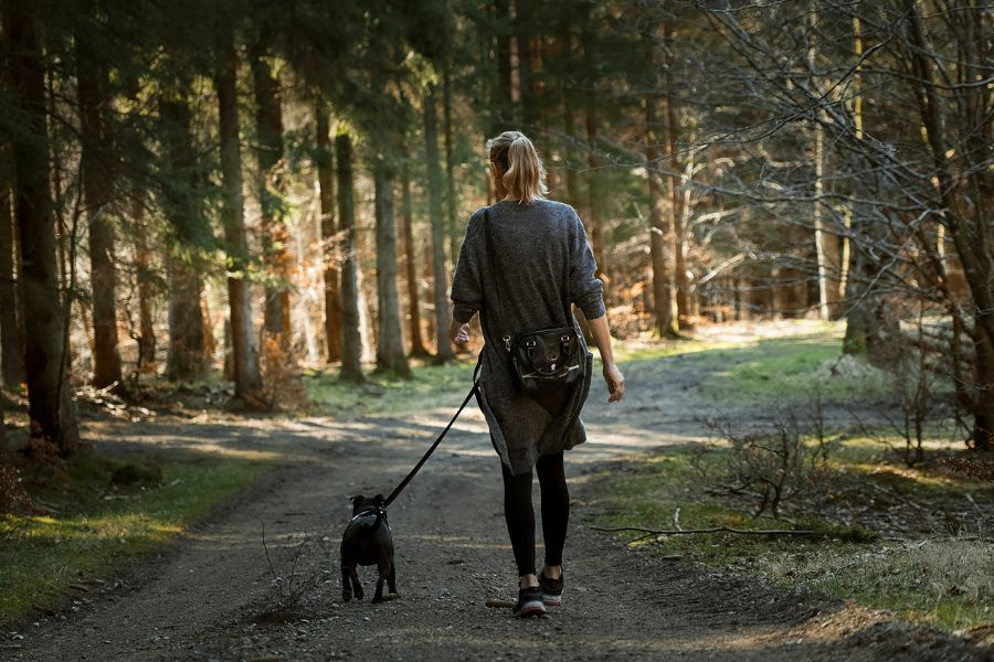 Woman walks a dog