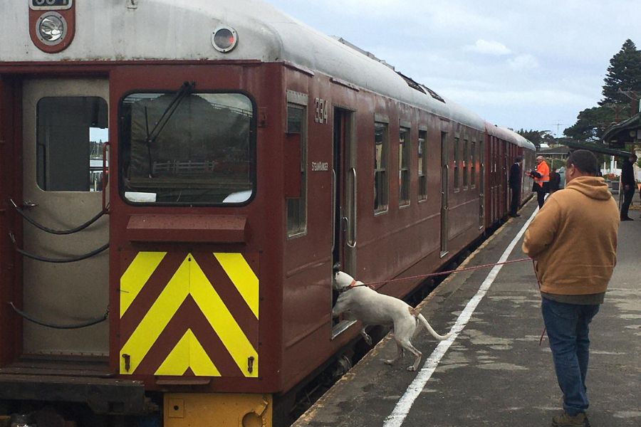 Train carriages