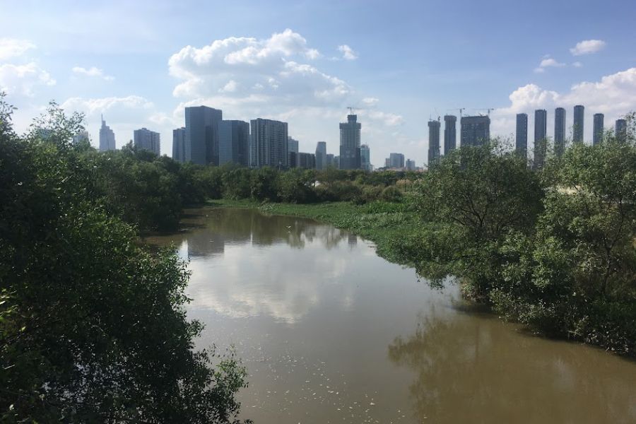 The Ho Chi Minh City skyline