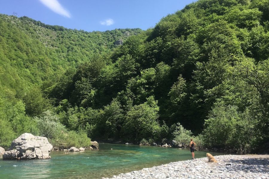 woman and dog during a hike 