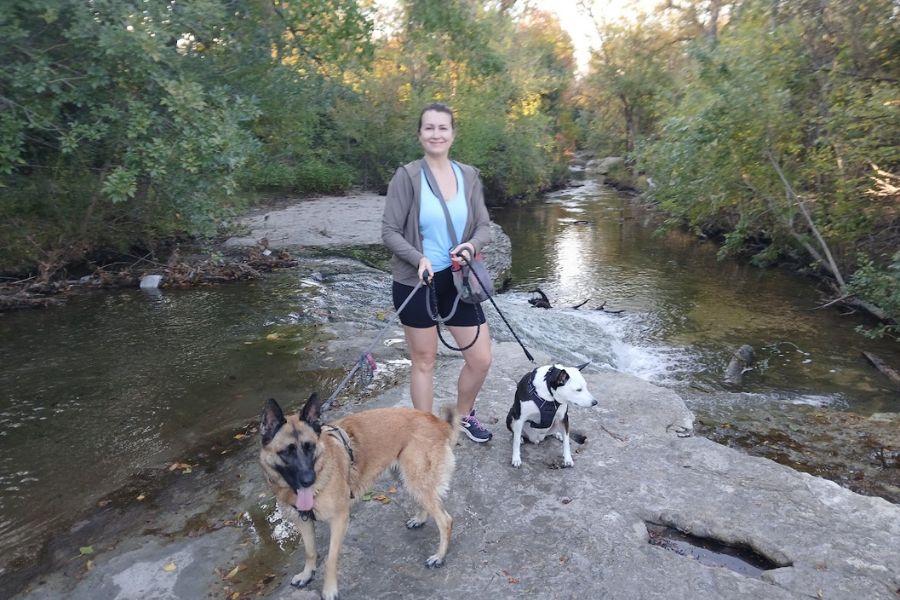 woman walking 2 dogs in a creek