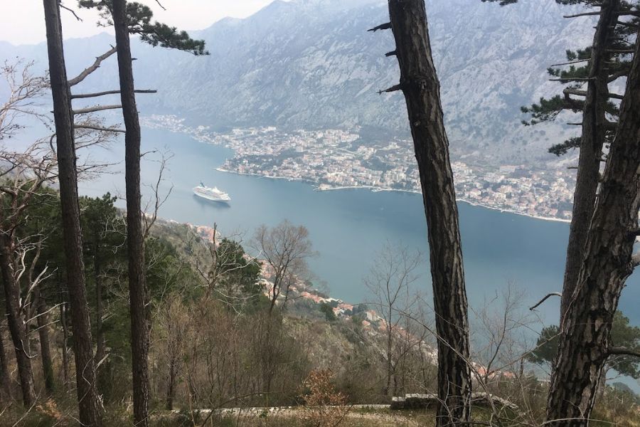 A cruise ship coming into the Bay of Kotor.