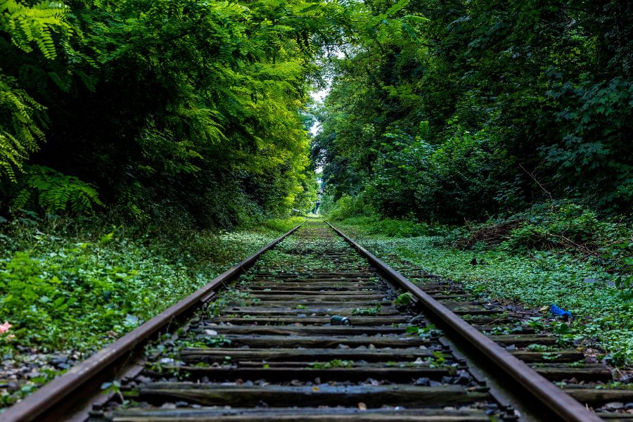 abandoned railway