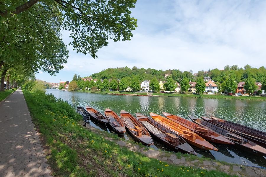 punting boats